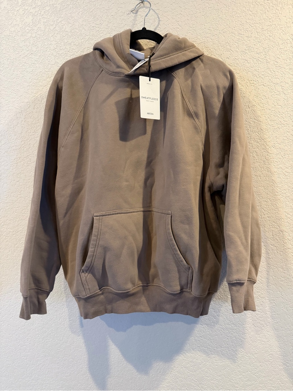 Aritzia SweatFleece Hoodie in Taupe